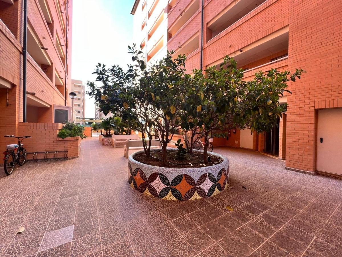Excelente Apto. En Marina D'Or-Torre La Sal Daire Cabanes  Dış mekan fotoğraf